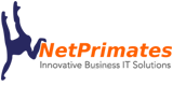 NetPrim-logo-1